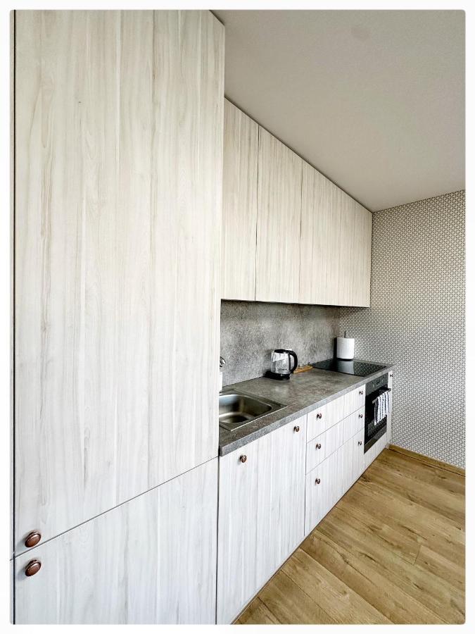 Apartaments In The City Centre Kaunas Luaran gambar