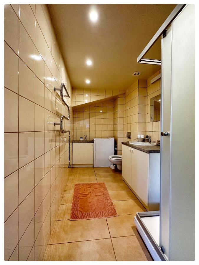 Apartaments In The City Centre Kaunas Luaran gambar