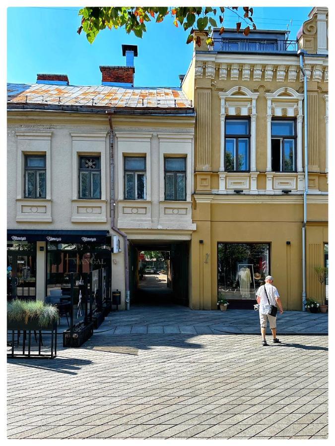 Apartaments In The City Centre Kaunas Luaran gambar